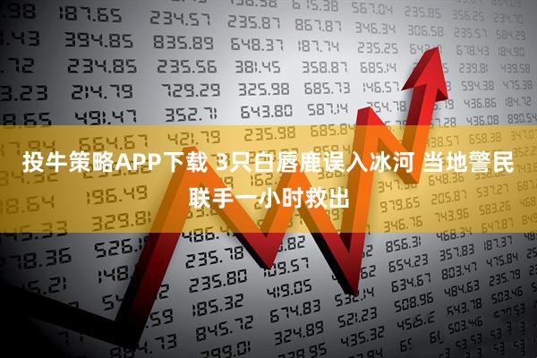 投牛策略APP下载 3只白唇鹿误入冰河 当地警民联手一小时救出
