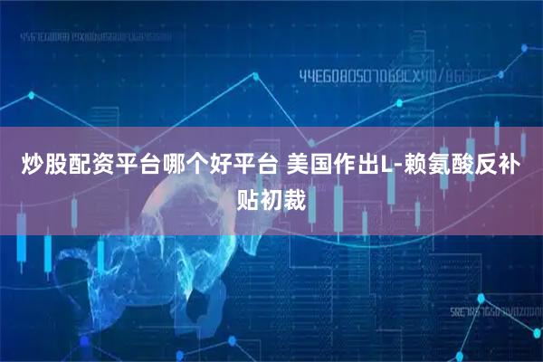 炒股配资平台哪个好平台 美国作出L-赖氨酸反补贴初裁