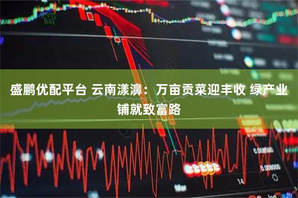 盛鹏优配平台 云南漾濞：万亩贡菜迎丰收 绿产业铺就致富路